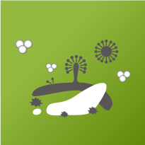 4th_en_electrolysis_5 44th_en_electrolysis_5