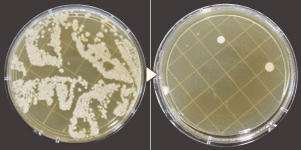 4th_en_electrolysis_7 4th_en_electrolysis_7