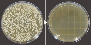 4th_en_electrolysis_8 4th_en_electrolysis_8